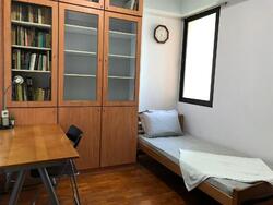 Simsville (D14), Condominium #489793611